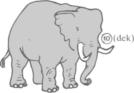 elefanto